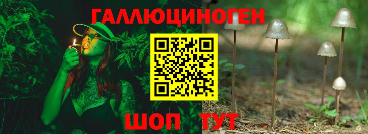 Псилоцибиновые грибы мухоморы Анжеро-Судженск